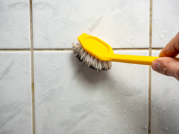 Best Insurance-Related Mold Remediation in Spring Ridge, MD