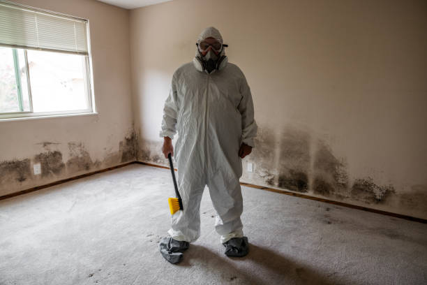 Best Emergency Mold Remediation in Spring Ridge, MD